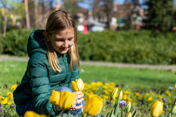 istock In the field of tulips 1482816145