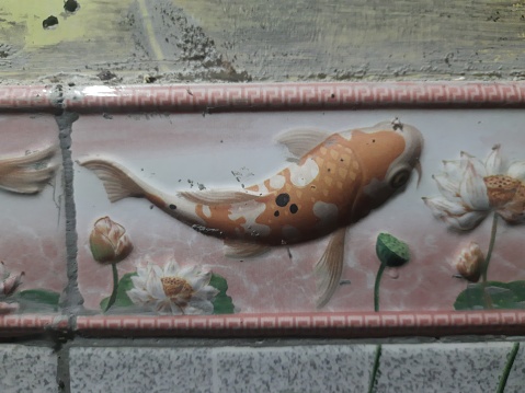 fish motif on the ceramic wall