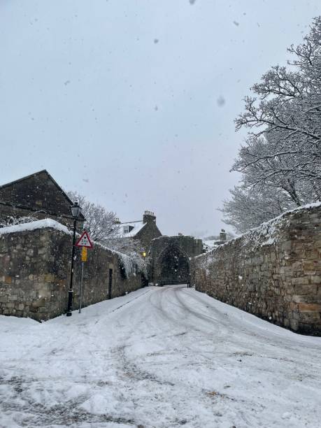 istock Snowy street scenery 1482819656