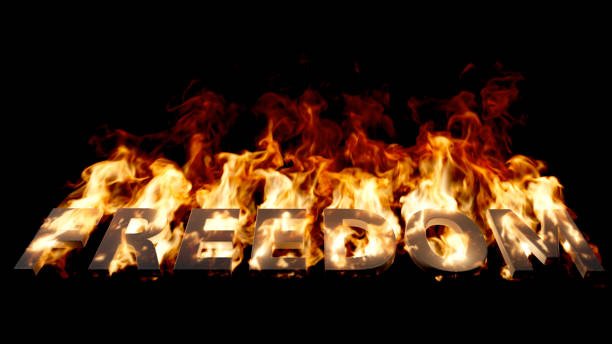 istock Low-angle view of Freedom Word on Fire with High Flames on Black 1482819954