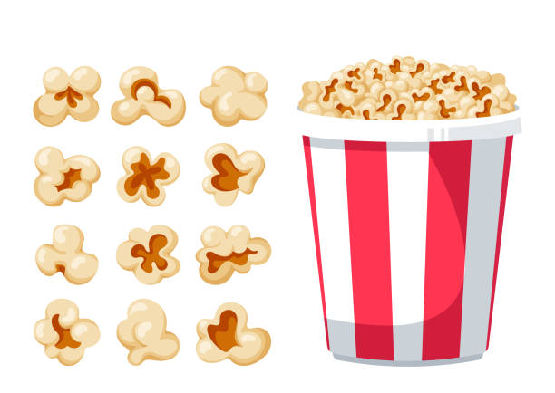 kolekcja nasion popcornu w różnych kształtach, puszysty i smaczny zestaw elementów i wiadro papieru z popcornem - cereal plant processed grains variation backgrounds stock illustrations