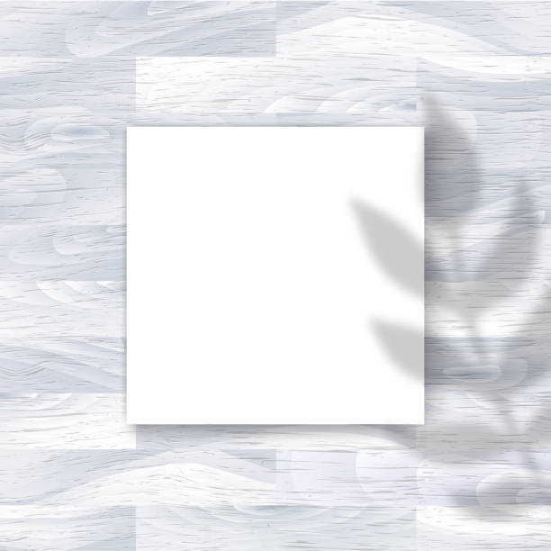 istock Vector Mockup with empty white square paper sheet on grey wooden background and plant shadow overlay. Trendy portfolio blank space background for web portfolio, poster mock up, presentation. 1482822335