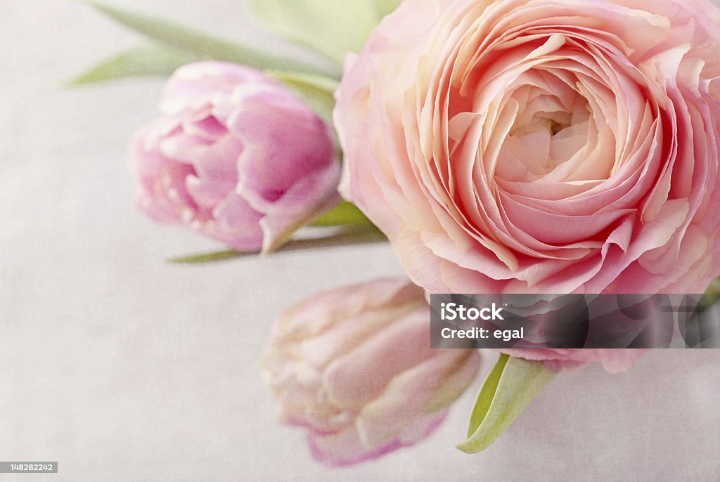 Fleurs roses - Photo de Abstrait libre de droits