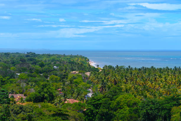 istock Landscape view from Arraial d'Ajuda - Bahia 1482826956
