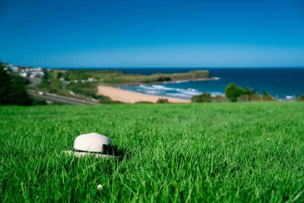 istock Sydney City life style 1482828030