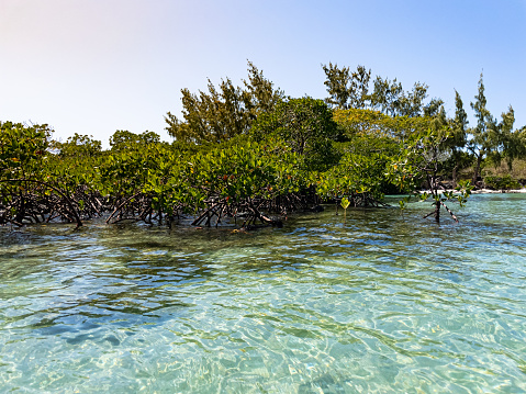 Indian Ocean turquoise water of Ile aux Cerfs, Mauritius