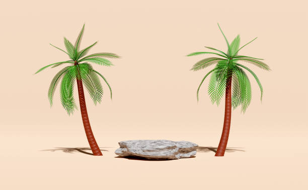 istock 3d stone cube stage podium empty with palm tree, abstract geometric cosmetic showcase pedestal beige background. minimal modern scene, 3d render illustration 1482832796