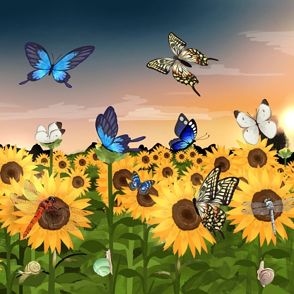 butterfly, dragonfly and snail illustration
