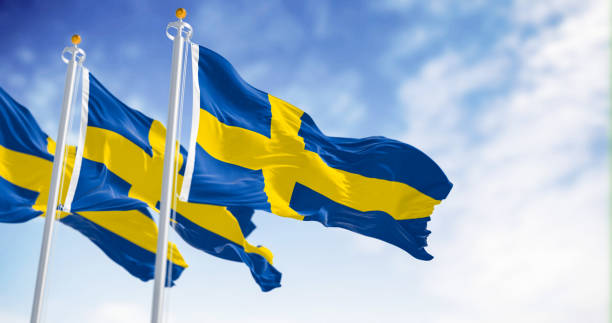 three national flags of sweden waving on a clear day - day sky swedish flag banner imagens e fotografias de stock