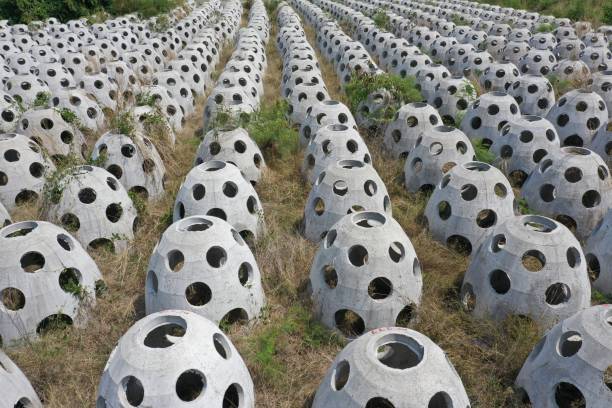 Dome breakwater concrete seawall trooper eggs