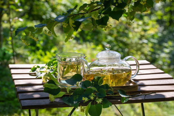 thé de tilleul dans une tasse en verre et théière sur table en bois dans le jardin en été sous le tilleul en fleurs. tisane. - linden tree photos et images de collection
