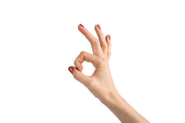 istock Female hand isolated on white background. Gestures shown by hand. 1482842526