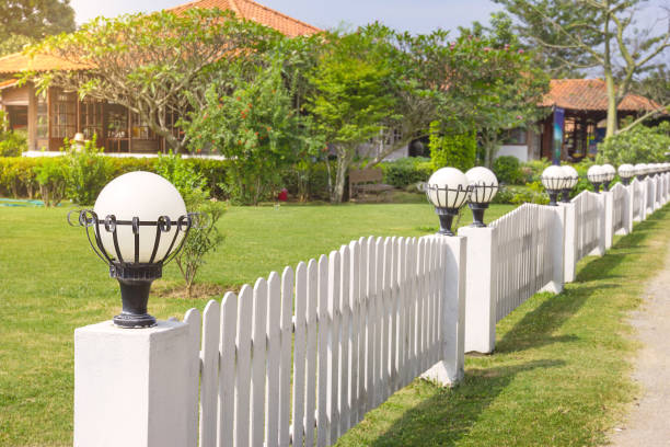 An empty backyard with grass, small trees and a wood fence
