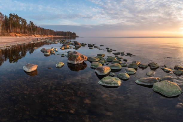 istock Vidzeme stony seashore 1482851126