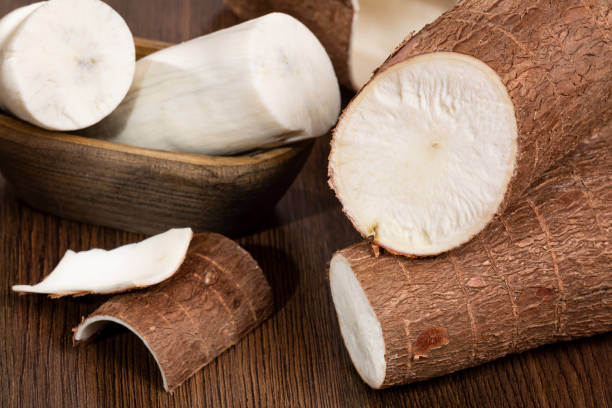 istock Fresh Organic Cassava Root - Manioc Esculenta; On White Background 1482851421