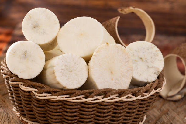 istock Fresh Organic Cassava Root - Manioc Esculenta; On White Background. 1482851481