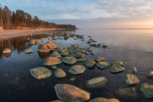 istock Vidzeme stony seashore 1482853644