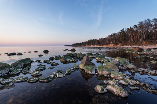 Landscape with sandstone cliffs, stony seaside of Vidzeme, Latvia. Photographed on a spring evening.