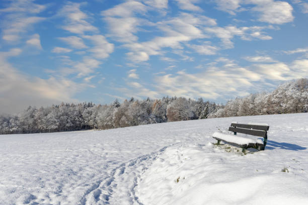 istock Empty bench covered in snow in a field on a clear winter sunny day 1482855956
