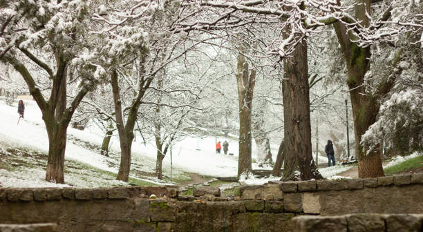 istock Forest, snowing, falling snowflakes, snowstorm, storm, trees and people in park 1482856058