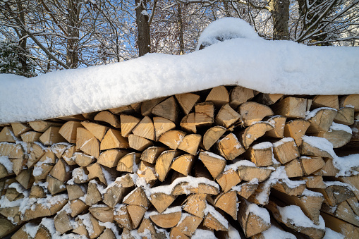 A large pile of neatly stacked sawn logs is covered with soft white snow in a dense pine forest in bright daytime sunlight