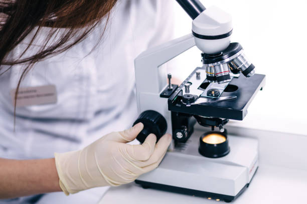 istock medical technician look at the microscope in medical laboratory 1482857751