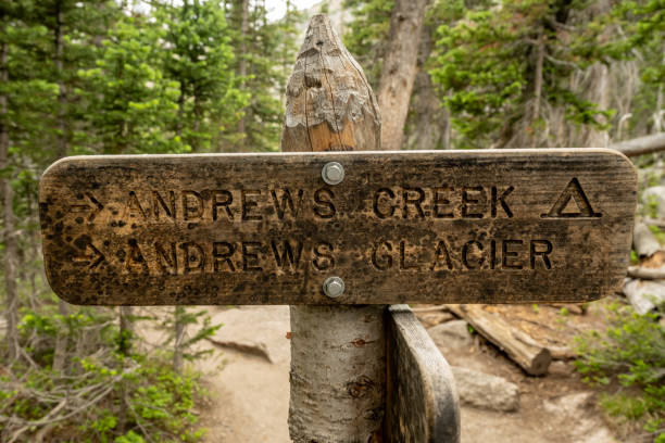 istock Andrews Glacier Wooden Trail Sign 1482859222