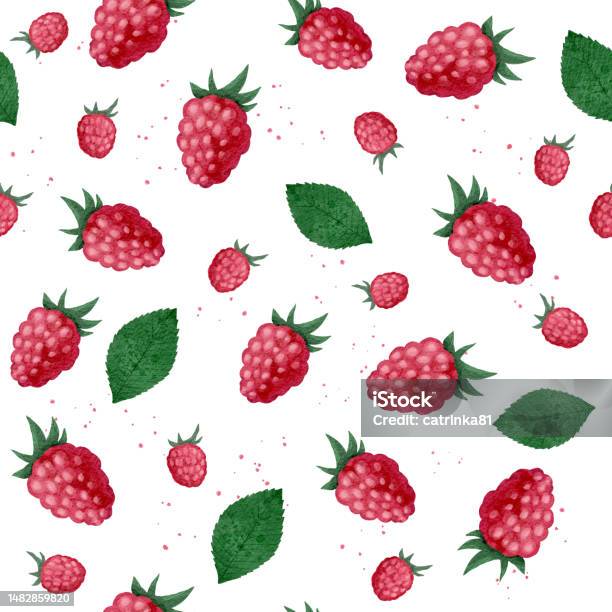 Cute Raspberry Color Backgrounds Raspberry Pattern Stock Illustration - Download Image Now - Backgrounds ...