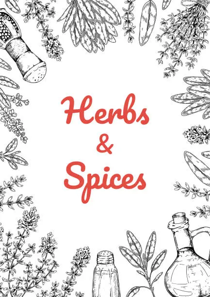 Vector illustration of Herbs and spices vertical design. Hand draw background with cooking ingredients in sketch style. Detailed vector illustration