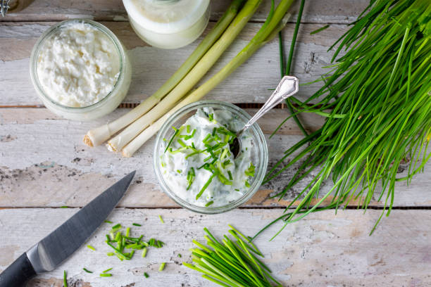 istock Fresh curd and herbs - dairy product 1482860027