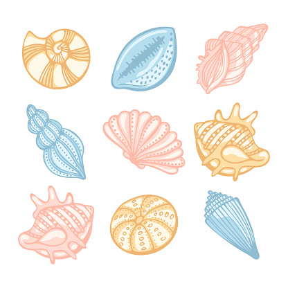 Set of sea shells in pastel colors on a white background. Decor elements, vector
