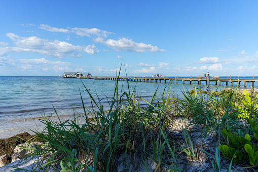 Long wooden pier stretches out from the shore into the gulf behind the tall grass on the beach at Anna Maria Island, Florida