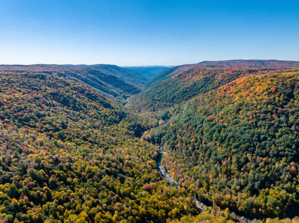 istock Lindy Point Overlook in Blackwater Falls State Park 1482867049
