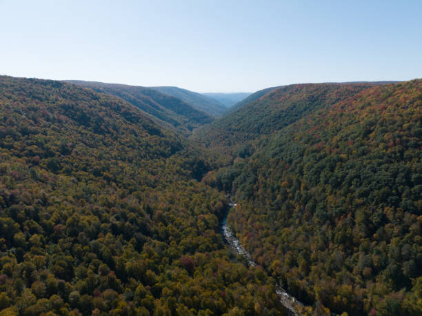 istock Lindy Point Overlook in Blackwater Falls State Park 1482867128