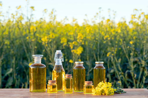 Seven Bottles with canola oil on a wooden table in the canola field