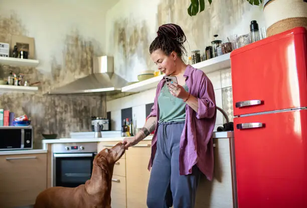 Photo of Young adult woman using a smart phone in a kitchen with her dog