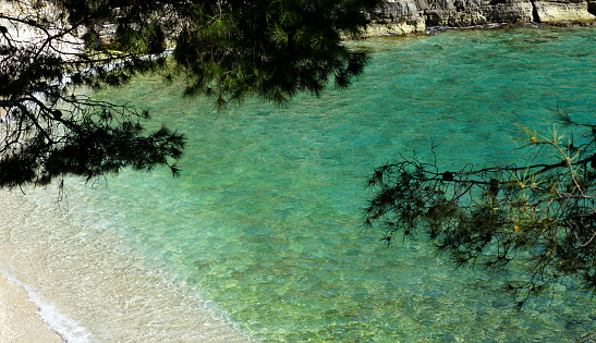 Turquoise sea lagoon framed with silhouette of pine tree branches from above