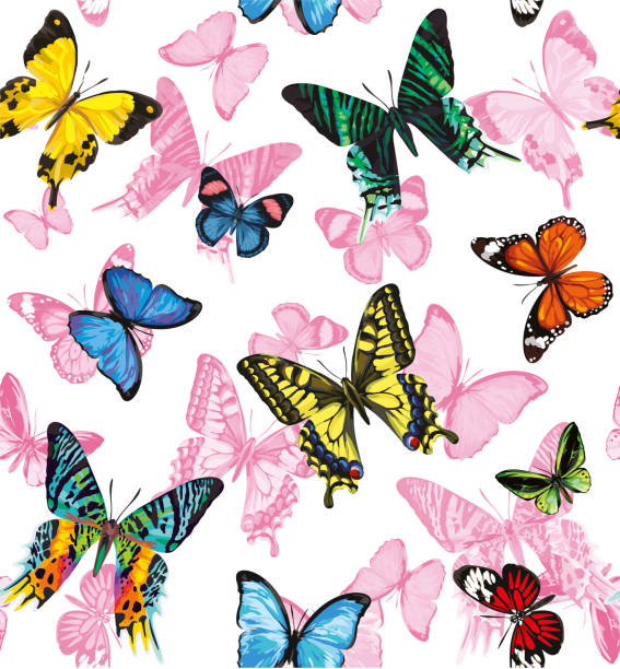 ilustraciones, imágenes clip art, dibujos animados e iconos de stock de patrón sin costuras con mariposas.  ilustración vectorial. - butterfly backgrounds seamless pattern