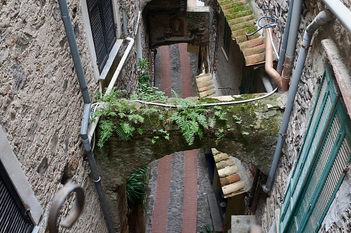 Looking down at the narrow streets of the medieval village of Dolceacqua, Imperia, Italy.