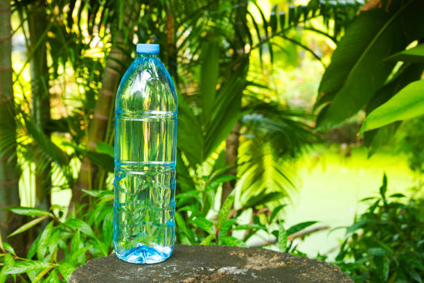 Big  water bottle in tropical  rainforest
