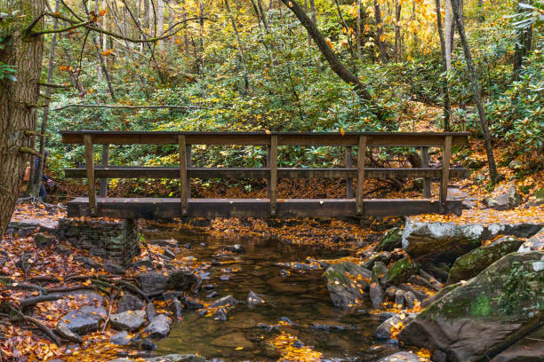 istock New River Gorge National Park | Endless Wall Trail - Diamond Point Overlook 1482873845