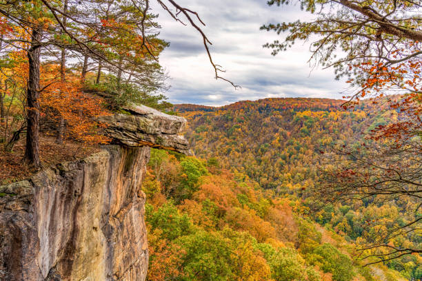 New River Gorge National Park | Endless Wall Trail - Diamond Point Overlook