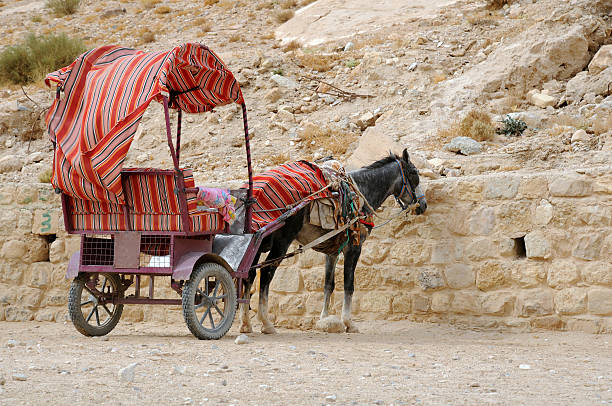 Bored donkey and cart in the Siq canyaon at Petra, Jordan
