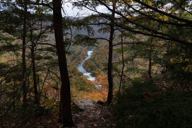 istock New River Gorge National Park | Endless Wall Trail - Diamond Point Overlook 1482874509