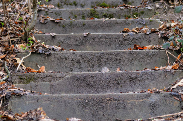istock Old stone stairs covered with moss in the autumn forest. 1482874955