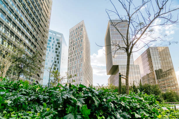 istock Buildings and trees in Barcelona 1482876473