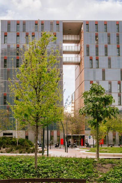 istock Buildings and trees in Barcelona 1482877082
