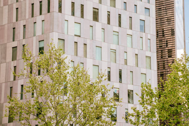 istock Buildings and trees in Barcelona 1482877102