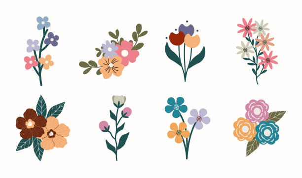 ilustraciones, imágenes clip art, dibujos animados e iconos de stock de conjunto botánico de flores - tulip sunflower single flower flower