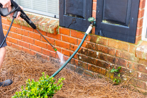 istock Person cleaning brick wall with pressure washer. 1482880526